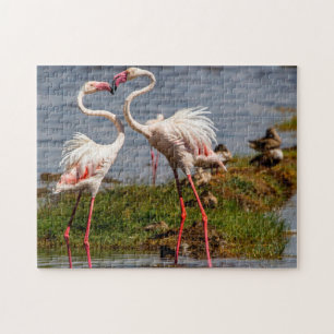 Puzzle Flamngos roses.