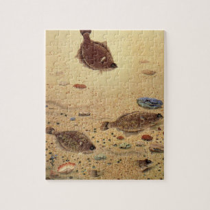 Puzzle Flets ou poissons plats, vie marine océanique vint