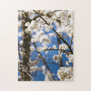 Puzzle Fleur blanche fond de ciel bleu