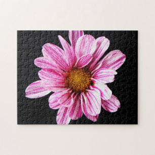 Puzzle Fleur Chrysanthème 11x14 252pc jpcn