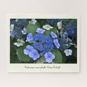 Puzzle Fleur Collable Blue Hydrangea