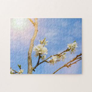 Puzzle Fleur de cerisier