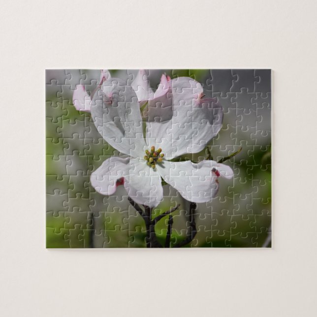 Puzzle Fleur de Dogwood blanc (Horizontal)