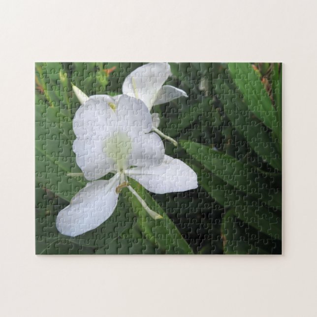 Puzzle Fleur de gingembre blanc hawaïen (Horizontal)