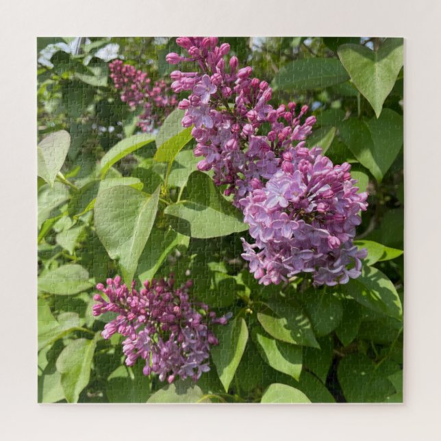 Puzzle Fleur de lilas rose (Vertical)