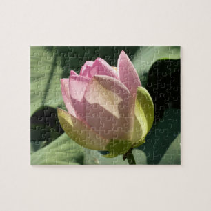 Puzzle Fleur de Lotus rose florissante été