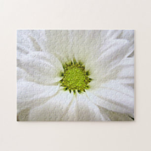 Puzzle fleur de marguerite blanche pure