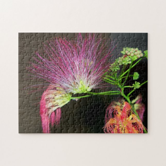 Puzzle Fleur de Mimosa rose (Horizontal)