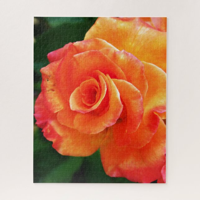 Puzzle Fleur de rose orange (Vertical)