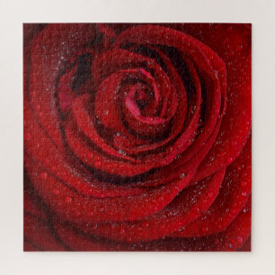 Puzzle Fleur de rose rouge