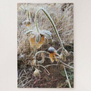 Puzzle Fleur de Rudbeckia Wiled Morning Frost Photo