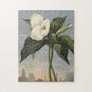 Puzzle Fleur de Trillium Blanc dans le style du Temple de