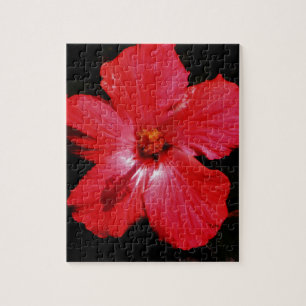 Puzzle Fleur d'Hibiscus rouge rose chaud sur noir