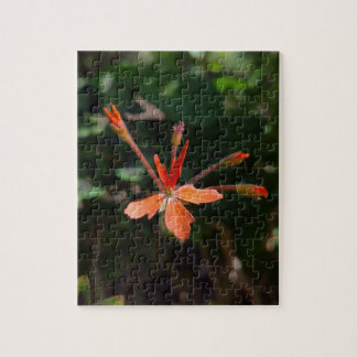Puzzle Fleur Écarlate – La Symphonie des Pétales de la Na