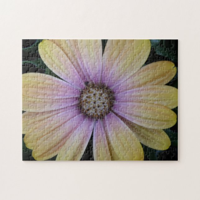 Puzzle Fleur marguerite jaune et violet (Horizontal)