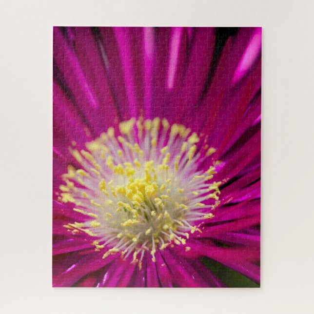 Puzzle Fleur plante de glace rose (Vertical)