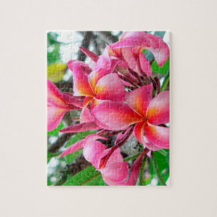 Puzzle Fleur rose de Plumeria ou de Frangipani