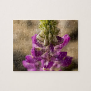 Puzzle fleur sauvage 4