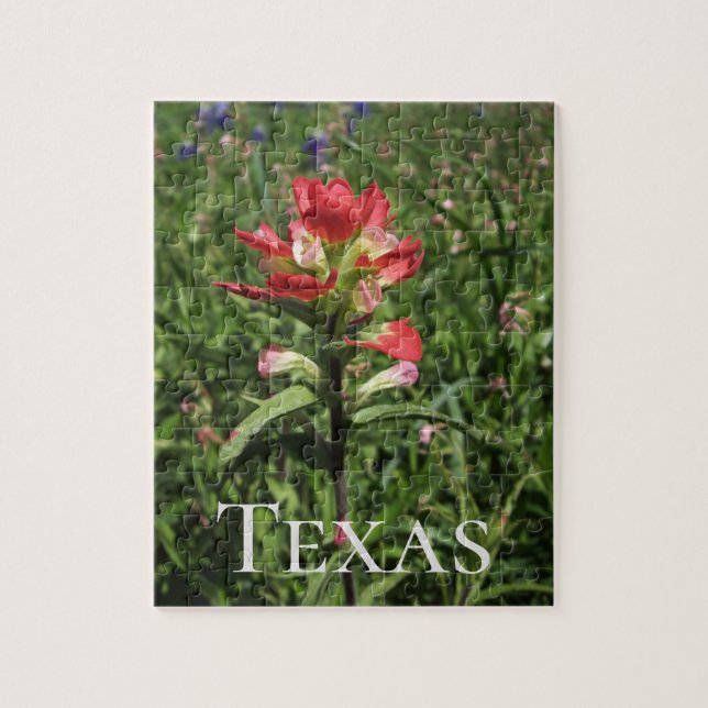 Puzzle Fleur sauvage du Texas (Vertical)