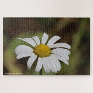 Puzzle Fleur tranquille – Marguerite des Great Smoky Moun