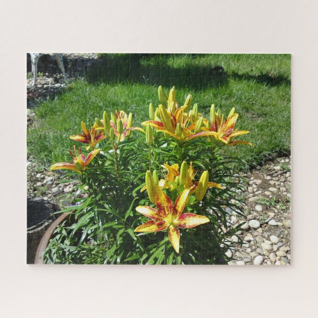 Puzzle Fleurie (Horizontal)