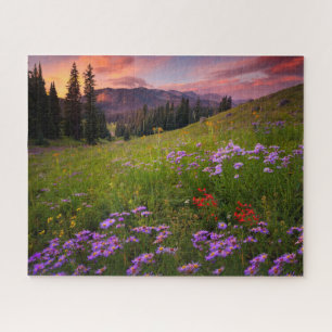 Puzzle Fleurs   Colorado Fleur sauvage violet