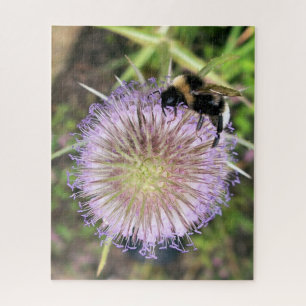 PUZZLE FLEURS D'ABEE ET DE TEASEL