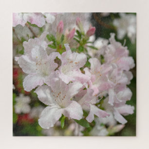 Puzzle Fleurs d'azalée roses en fleurs de printemps