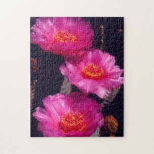 Puzzle Fleurs de Cactus Beavertail 2