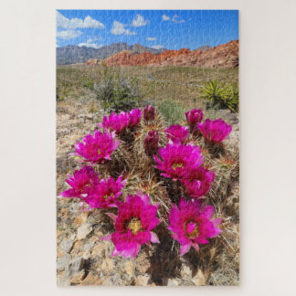 Puzzle Fleurs de cactus roses dans le canyon de Red Rock,