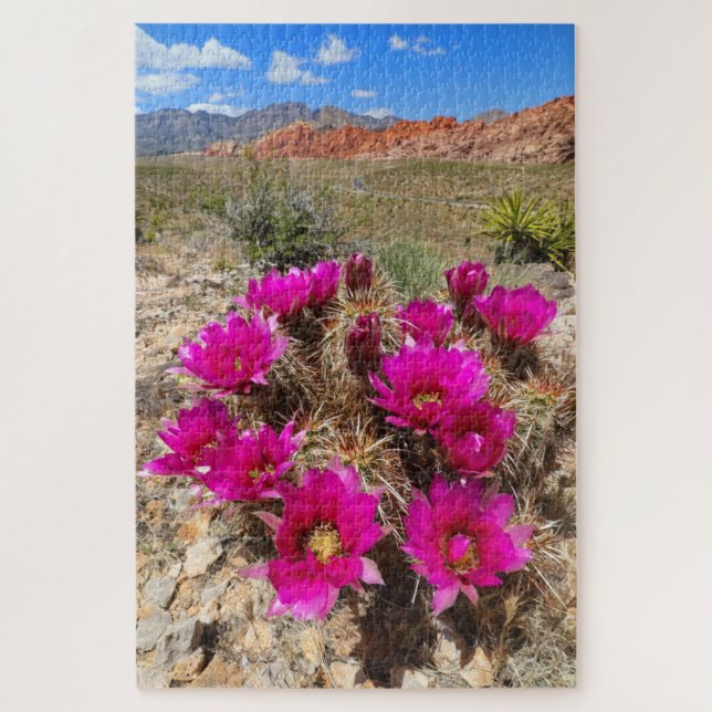 Puzzle Fleurs de cactus roses dans le canyon de Red Rock, (Vertical)