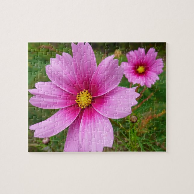 Puzzle Fleurs de Cosmos Rose Fleur Sauvage (Horizontal)