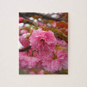 Puzzle Fleurs de fleurs de cerisier rose chaud