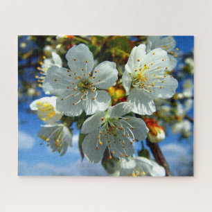 Puzzle Fleurs de fleurs de pommier blanc