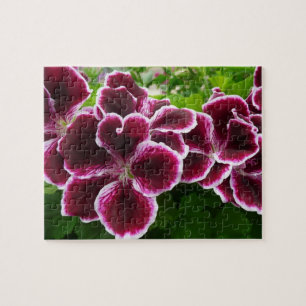 Puzzle Fleurs de géranium Regal Élégant Maroon Floral Lug