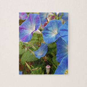 Puzzle Fleurs de gloire du matin