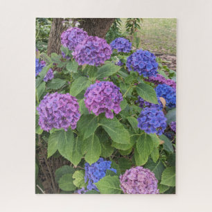 Puzzle Fleurs de Hortensia Bleu et Rose
