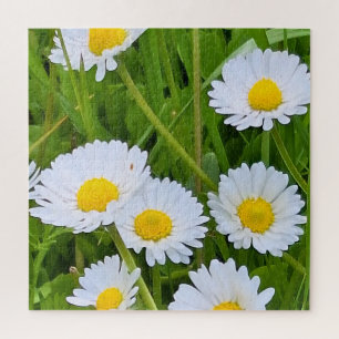 Puzzle Fleurs de jardin sauvage Roumanie – Photographie d