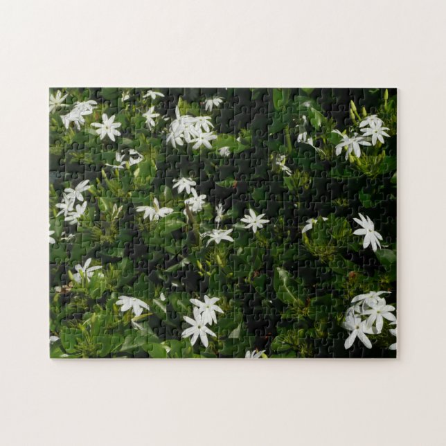 Puzzle Fleurs de jasmin Botanique tropicale florale (Horizontal)