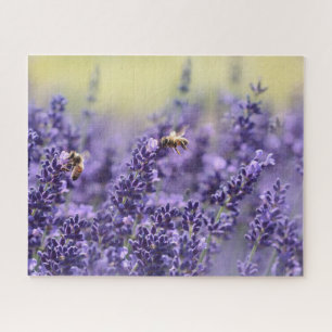 Puzzle Fleurs de lavande et abeilles