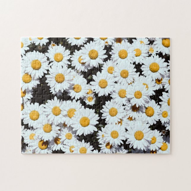 Puzzle Fleurs de marguerite Floraison florale Nature (Horizontal)