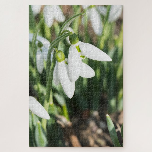 Puzzle Fleurs de neige (Vertical)