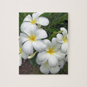 Puzzle Fleurs de Plumeria d'Hawaï