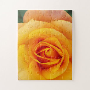 Puzzle fleurs de rose jaune