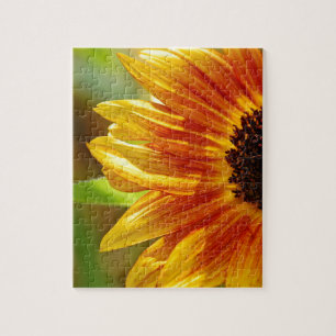 Puzzle Fleurs de tournesol orange et jaune