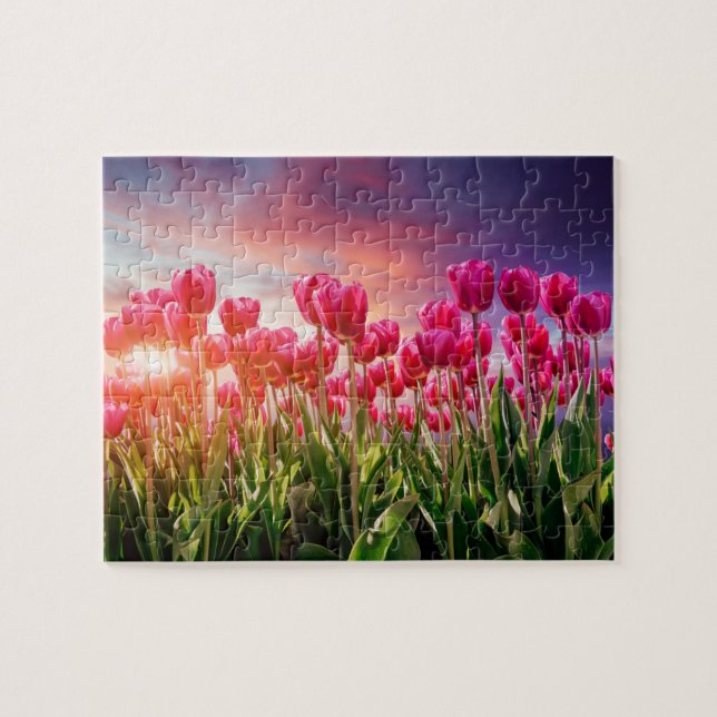 Puzzle Fleurs de tulipe rose Coucher de soleil Nature Pay (Horizontal)