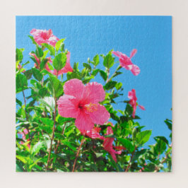Puzzle - Fleurs d'Hibiscus roses