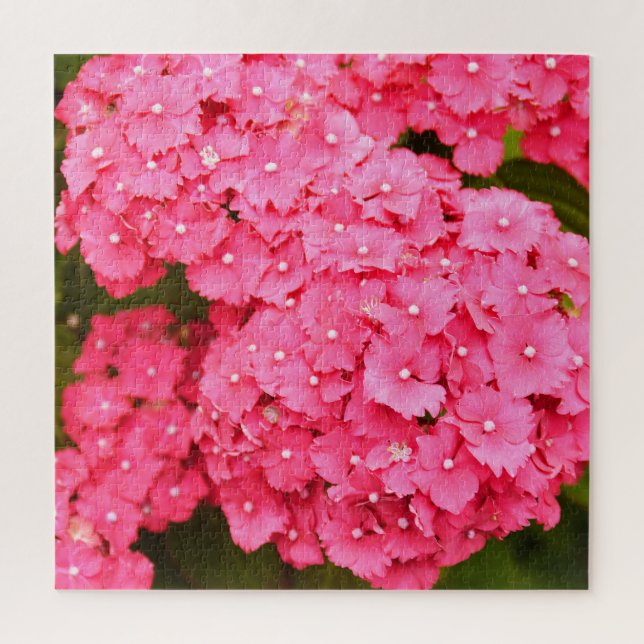 Puzzle Fleurs d'hydrangée rose (Vertical)