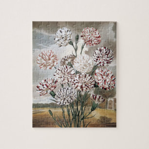 Puzzle Fleurs d'œillet panachées vintage avec ciel gris