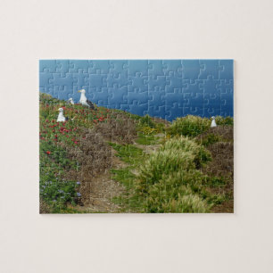 Puzzle Fleurs et mouettes sur l'île d'Anacapa